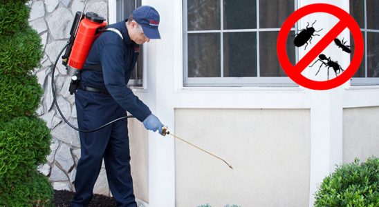 Yakakent Karınca İlaçlama böcek ilaçlama ve haşere kontrolü — ilaclama-tr.com